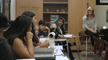 Relationship Building: Getting To Know Your Students