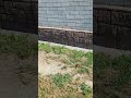 камень из плиточного клея. цвет под тумбу забора