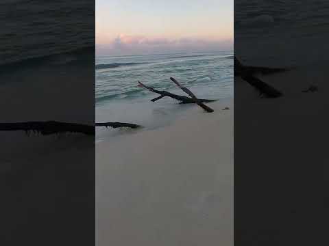 بهاء سلطان أنغام وين تروح