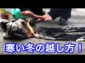 【たき火】リドム燃やして長野の冬越してみた