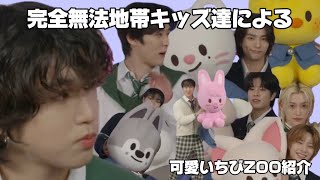 無法地帯すぎるチビZOO紹介【straykids/6周年記念配信/日本語訳】