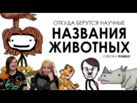 Видео: РЕАКЦИЯ НА Откуда берутся научные названия животных - Академия Сэма Онеллы | @RGRumble