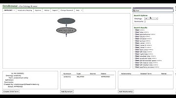 How to search for an ontology term