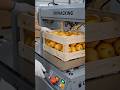 semi automatic strapping machine AI Demo #machine #ekmotahathighumechala #packagingtools #automobile