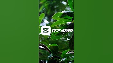 𝘾𝙞𝙣𝙚𝙢𝙖𝙩𝙞𝙘 𝙘𝙤𝙡𝙤𝙧 𝙜𝙧𝙖𝙙𝙞𝙣𝙜 𝙩𝙪𝙩𝙤𝙧𝙞𝙖𝙡 🍃😍 | Tutorial 🔥 #capcut #youtubeshorts #shortsvideo