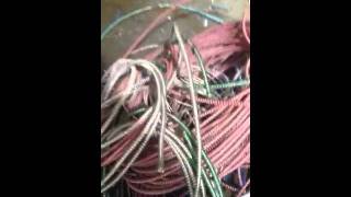 Showing Scrap Thhn Wire From Bx Wire