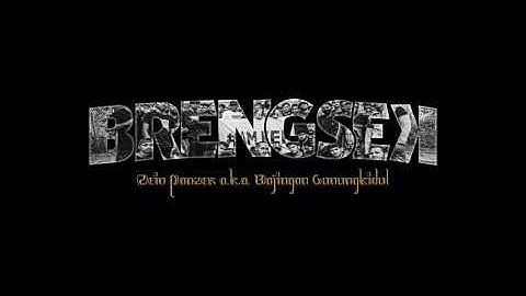 ZEIN PANZER- BRENGSEK. Official music vidio