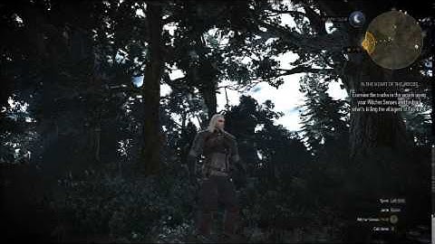 The Witcher 3 - Light Bug / Glitch - UFO lights in forests in The Witcher 3.