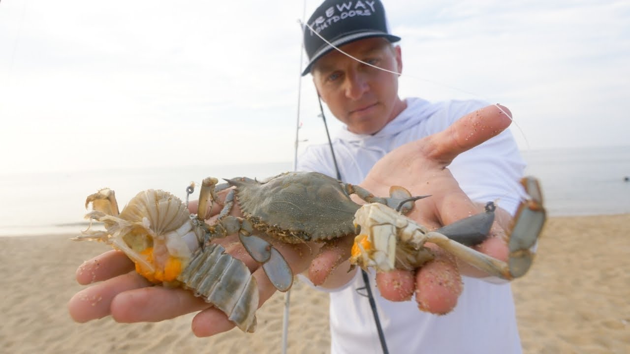 How to Rig a Blue Crab - All Popular Rigs for Giant Fish and More Fish! 