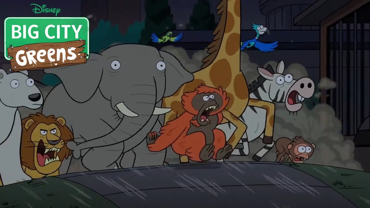 The Zoo Animals Escape Clip Uncaged Big City Greens YouTube The Zoo Animals Escape Clip Uncaged Big City Greens YouTube