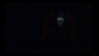 Talking Skull Returns To Pirates Of The Caribbean Ride At Magic Kingdom, Disney World