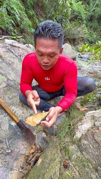Amazing Gold Quartz #goldrush #quartz