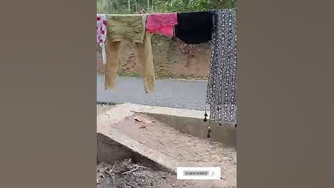 50 വർഷം പഴക്കമുള്ള എന്റെ മുത്തശ്ശിയുടെ വീട്