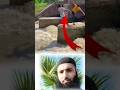 عدو عاقل خير من صديق جاهل أما إن لم تجد صاحبآ اكسبلور لايك ترند تحديات Funny Fyp Shorts عدو عاقل خير من صديق جاهل أما إن لم تجد صاحبآ اكسبلور لايك ترند تحديات Funny Fyp Shorts