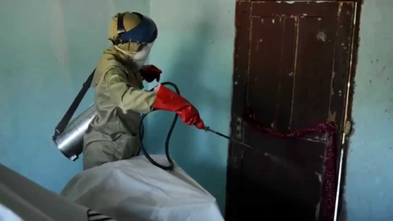 Say Goodbye Malaria. Invest in Africa's Future