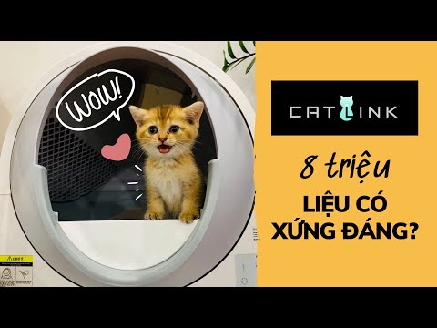 Video: Catlike: Tham quan nhà máy