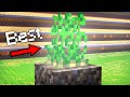 I just keep getting richer (Hypixel Skyblock)