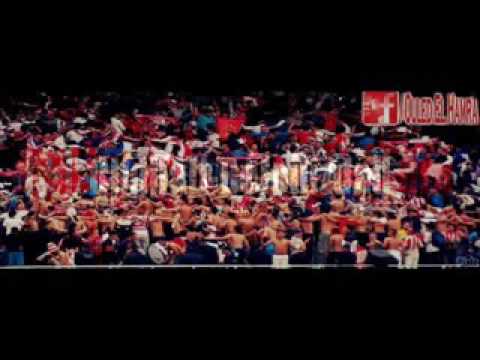 أغنية شباب بلوزداد إذ سمعتها ستجعلك تعيدها كل مرة