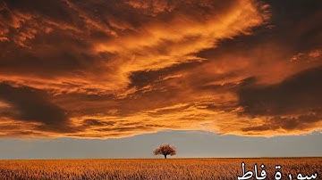 سورة فاطر كاملة بصوت جميل