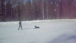 SDC13262.AVI