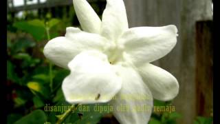 Bunga Melur... - P.Ramlee