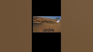 { وَيَقُولُ الكافر ياليتني كُنتُ تُرَاباً } القارئ ماهر المعيقلي