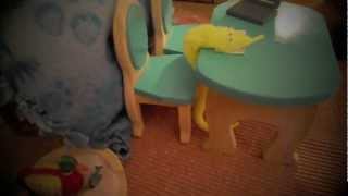 The Wigglee Worm News