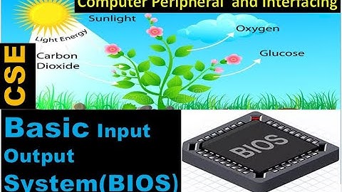 SST-CSE-3235-Computer Peripheral  and Interfacing-Basic Input Output System(BIOS)