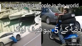 5 most stupid people in the world /  urdu/