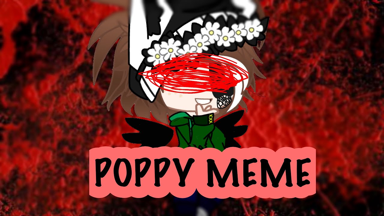 Memes poppy