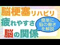脳梗塞リハビリ　疲れやすさと脳の関係
