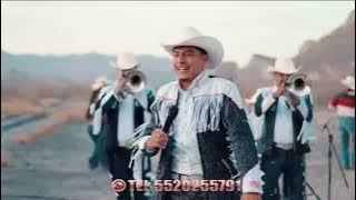 La Alteradisima Banda - Levantando las Manos - Cotiza 5520255791