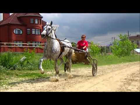 Cходка у Элронда. Властелин колец: Братство кольцаиз YouTube · Длительность: 4 мин21 с Cходка у Элронда. Властелин колец: Братство кольцаиз YouTube · Длительность: 4 мин21 с