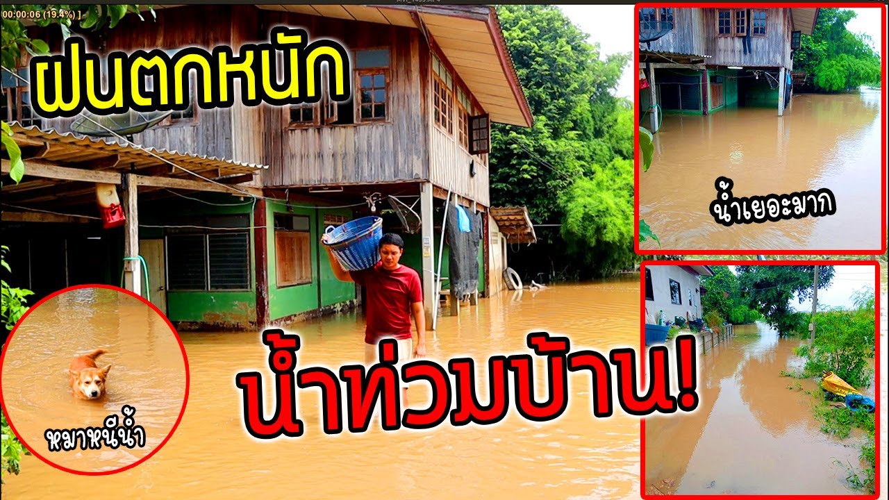น้ำท่วมบ้านพี่โบว์!!  รีบกลับบ้านด่วนช่วยพ่อตาขนของ
