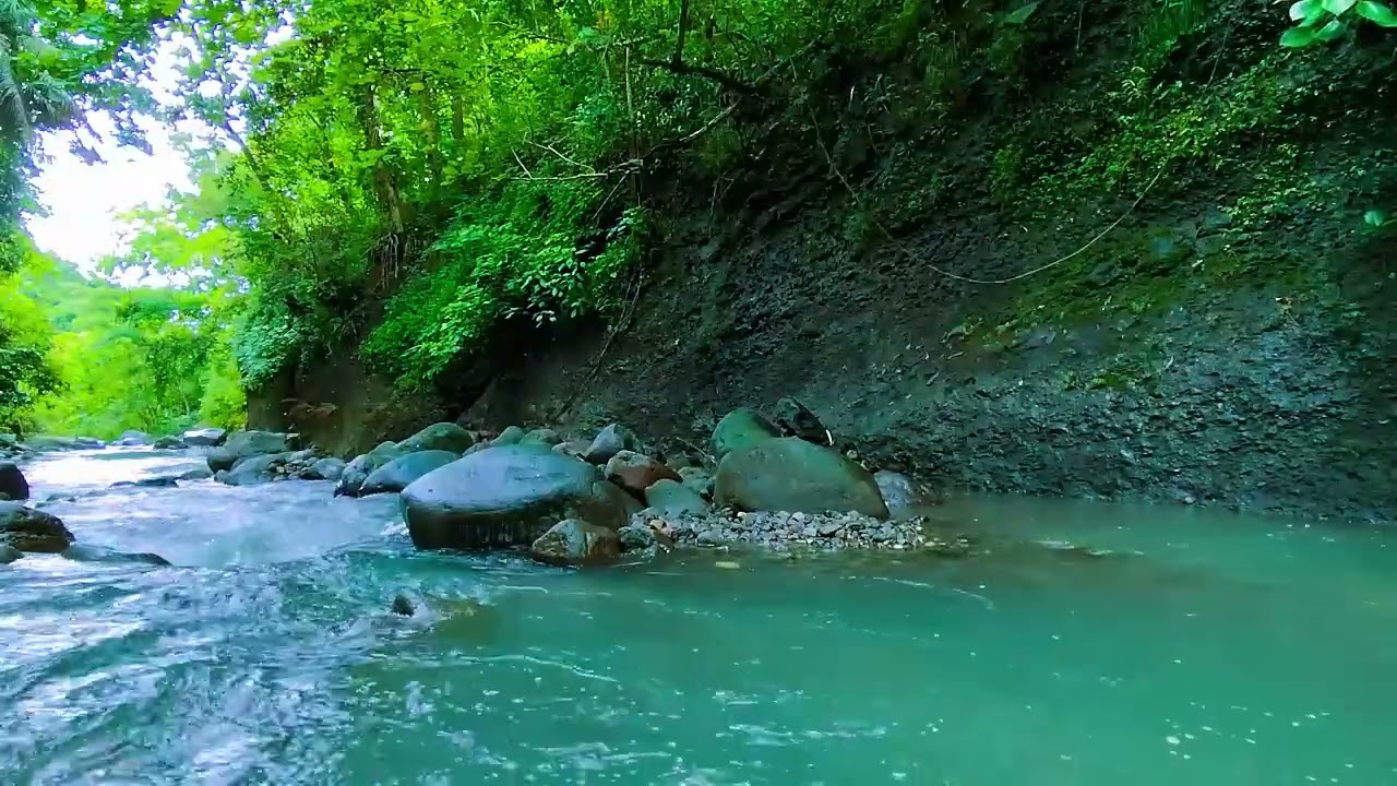 Nature's Calm - Sleep Like a Baby – This Forest Stream Sound Is a Total Game Changer - Deep Sleep
