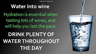 Festival of Wine - Five top tips for wine tasting...