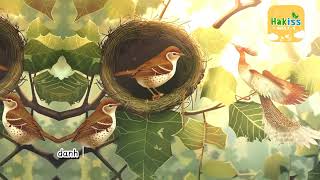 Câu Chuyện Mầm Non Chim Thợ May