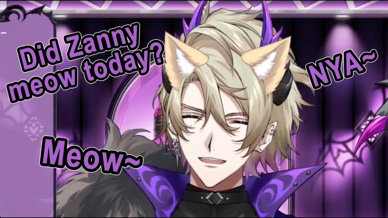 Zanny's cat moments compilation