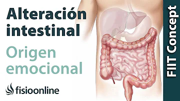 ¿Cuáles son las causas de la disfunción intestinal?