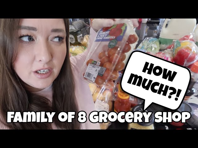 Family Of 8 Grocery Delivery & Haul! How Much?! 