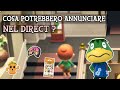 ANIMAL CROSSING DIRECT ! COSA ASPETTARCI ? NUOVI *RUMORS*