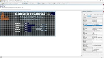 Programando con Visual Fox Pro Formularios y Base de Datos | Seguros Garcia