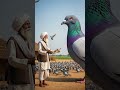 Hen Saves Pigeon | Heartwarming Story 😊 #Shorts