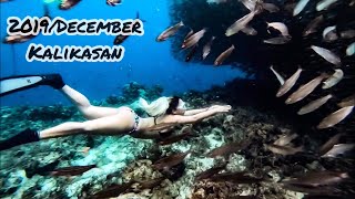 Freediving｜Kalikasan｜Napaling Part.2（薄荷島，邦勞）