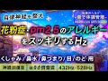 【自律神経を整える音楽】花粉症/pm2.5のアレルギーを和らげる┃くしゃみ•鼻水•鼻づまり•目の痒み•のどの痛み┃超回復アルファ波・シータ波・デルタ波┃全ソルフェジオ┃睡眠用・ヒーリング・作業用bgm