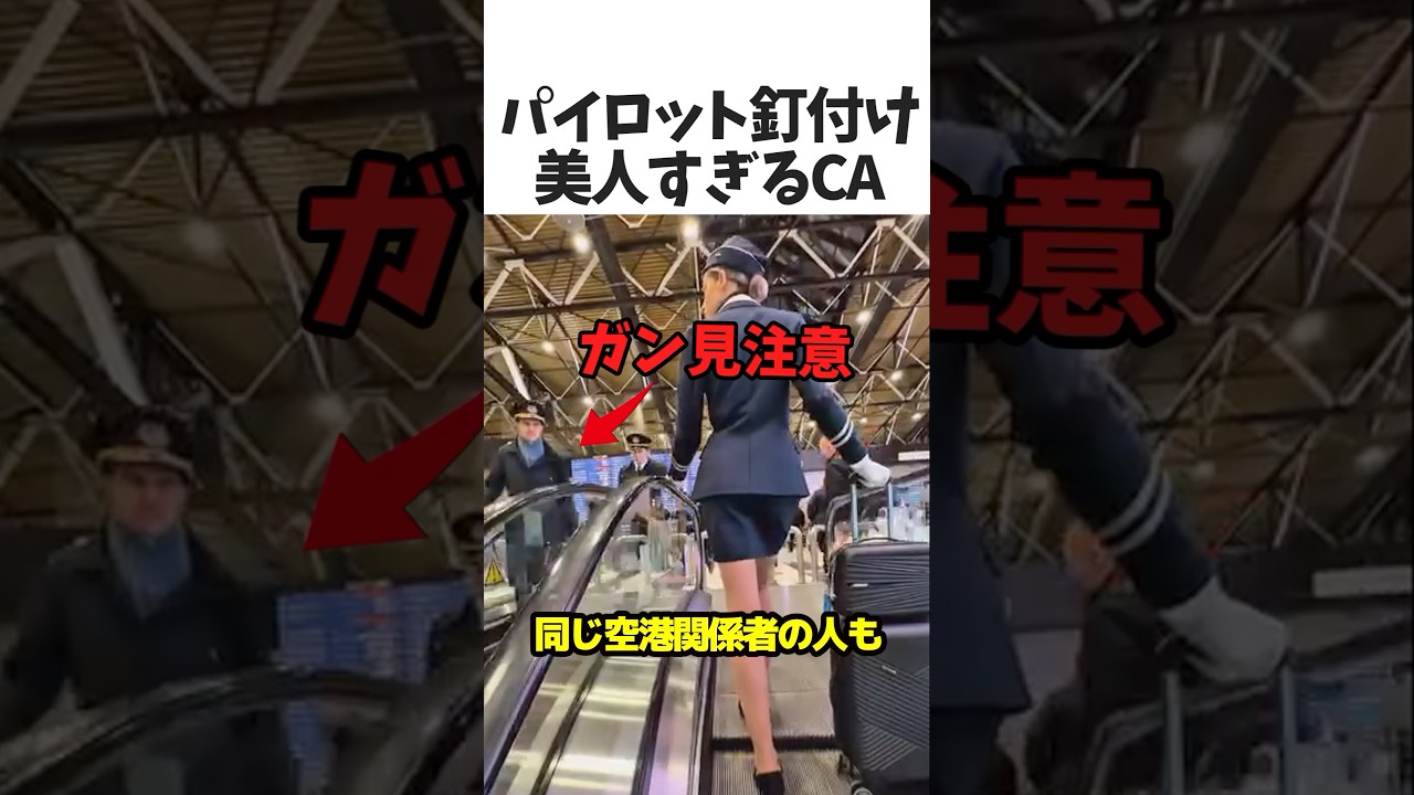 美人過ぎるCA