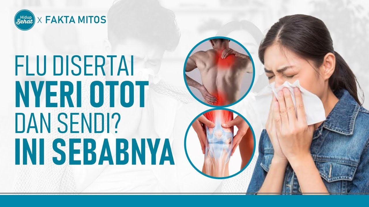 Flu Tulang Akibat Nyamuk Chikungunya, Kenali Gejalanya | Hidup Sehat tvOne