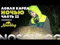 Ловля карпа ночью, А. Колесников, часть II