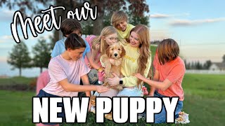*emotional* FIRST 24 hours with our NEW PUPPY!
