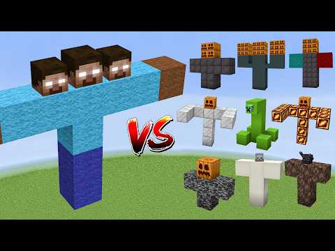 Herobrine vs All